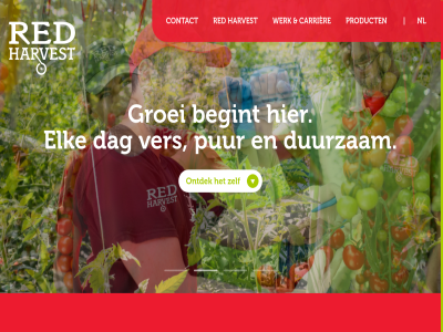 0174 11 1775 19 2025 2026 2678 52 6 66 all b.v begint bekijk boekesteijn carierr carrièr contact dag duurzam elk groei harvest hom info@redharvest.nl lan lier middenmer nl nx ontdek panorama privacy product pur red redharvest rk studios tussenweg ver websit werk