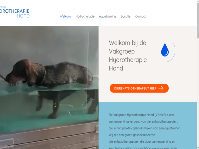 2022 aquatrain aquatrainer by contact dierenfysiotherapeut gebruik gespecialiseerd getild groep hoger hond hydrotherapie kennisuitwissel locatie mak niveau prachtig praktijk samenwerk samenwerkingsverband vak vakgroep vhh volvuur.com welkom wij