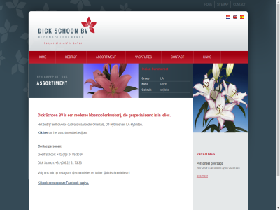 +31 0 22 24 30 33 51 6 73 85 94 assortiment bedrijf bekijk bloembollenkwekerij bloemenbollenkwekerij bv contact contactperson cultivar dick dickschoonlelies.nl diver edg facebok facebook-pagina gebruik geert gespecialiseerd gevraagd groep hom hybrid indian instagram kijk kleur klik la la-hybrid laatst lelies les link modern onz open oriental ot ot-hybrid pagina par personel rand robina ros roz schon schoonlelies sitemap snijlelie summerset teelt the twitter vacatures vindt volg waaronder wit zambesi