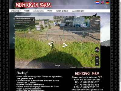 nishikigoifarm.com