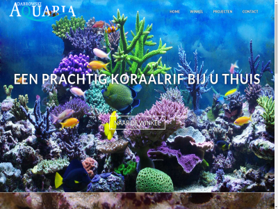 1079 2026 algemen aquaria contact dabrowski hom kerkenbos koraalrif l nijmeg prachtig privacy project thuis voorwaard winkel