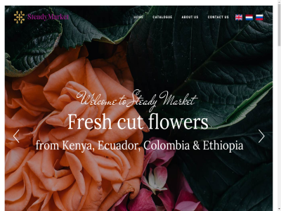 +31 -6 02 1 4814 57 76 820 a ab about and are at b.v beautiful becom below bloem breda catalogue checkmat choosing cod colombia condition contact creat customer cut day deliveries differenc distribution do e ecuador ethiopia examples exclusiv export flower free fresh from happines help hom import impres individual info@steadymarket.nl inspir kenya link lost mak market moment mor ned netherland newsletter next oft optimism or our passionat patienc plant pleas purchas rang read refresh seriously servic showtim som steady striv support sur t term that the to topaz tramsingel unusual us use value we webshop welcom with world worry worry-free you zadique