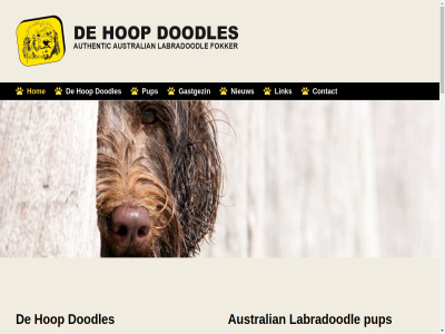0629041474 2009 aandacht association australian authentic bereik central contact daarop doodles facebok fokhond fokker foto friesland ga gastgezin gastgezinn geregistreerd gesocialiseerd gevestigd gezond goed groei hom hond hoogendam hoopdoodles hop hosting huiselijk ict inhoud instagram jsv jsv-ict kinder komt kopj krijg kring labradoodl lid liefd liefdevoll link manja nieuw nieuwtjes nodig onz opgevoed opzoek pagina plaats privacy pup reclam regelmat ruimt s sam stan stat statement telefonisch vanaf verdien via wala waskemer we webdesign werk wij worldwid www.wala-labradoodles.org
