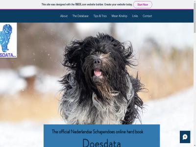 2022 about affiliates basisdoesdata bok builder by com contact creat created databas designed doesdata email first herd hom info kinship last link mean menu messag mor nam nederland now official onlin proudly schapendoes sit social start subject submit the this tip today tric websit with wix.com your