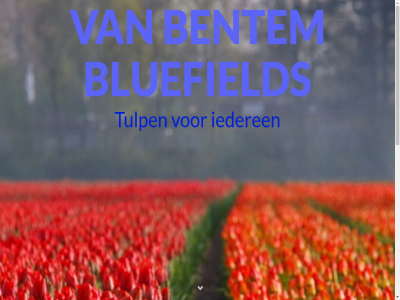 44 8316 achtergrond adres agrarisch areaal bedrijf belangrijk bentem beperkt blauw bloemboll bluefield druifjes echter geled geleg gemeent gespecialiseerd geteeld groei hoofdgewas hyacint iederen inhoud iriss jar krokuss lelies marknes meten muscari naast nam narciss noordoostpolder noordoostzijd ondernem ontstan period polder rs schaalvergrot sted teelt toonaangev tulp tulpenteelt uiterdijkenweg verder veredeld vermeerder verschov vijftien vind wij
