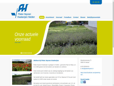 -55836418 /pieterheynen 0.5 06 1.5 15 1984 20 2012 25 3.5 4 5988 73 80 9000 a actuel all angustifolia assortiment bedrijf bedrijfspresentatie bes bezicht bred bureaublitz bv by caucasica chemisch compostthee conifer contact developed doorgekweekt e enkel fotoalbum gebruik gecertificeerd geeft geleg gemeent gestart gewasbeschermingsmiddel grass ha handelar heester held heyn hom hovenier hypericum indruk info@pieterheynen.nl informatie jar kass kunt kwek kwekerij l les lusitanica m maasbreeseweg maria mas media meter minder miracl mps nieuw nl onz opnem oppervlakt pa pel photinia pieter pot potmat prunus red reserved right robin rotundifolia sierheester sind social soort sterk system toegelegd total tuincentra tunnel volled vooral voorrad waarvan webdevelopment websit welkom wij www.facebook.com www.facebook.com/pieterheynen zet