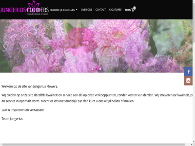 0 00 12 20 2018 account accountinformatie algemen bell bestell bestelt betaalmethod betal bezorg bezorgd bied bloem bloemetj bloemist blue boeket buit contact culemborg dag de derd dezelfd dream drie duidelijk e e-mailadres eenvoud flar flower fuchsia galerij gastenboek geadresseerd gebied gegeven gekoz geldermals hel helmond inlogg inspirer jouw jungerius kaartj klacht klantenservic kost kun kunt kwaliteit lat mail mailadres mocht nederland nieuwsbrief ocean omstrek onz optimal paradis person plantenarrangement prijs privacy servic sit sitemap sky soft stapp strev stur team tiel toe vacatures vandag veldboeket ver verkooppunt verrass voeg voorwaard vorm vul wanner welkom wij wijzig wilt