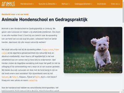 2023 76807401 a a-z aandacht absolut advies afsprak agility algemen all allen allerhand ander animal anti anti-escap authentic autogordel baasj band bandjes bas beantwoordt bedoeld bedrukt begrijp begrijpt bek bel belangrijk bereik best beter bezig bied biedt bijvoorbeeld biothan born brommel brunssum btw buitenlucht bund combinatie contact crer cursus cursuss daarna daarnaast daarom dagelijk detectie dien dier dieter dinsdag doet donderdag duurzam echt eig elk elkar elsloo em em-kral enig enkel enorm ervan escap even extra fijn flyball ga gat gebruik gedrag gedragspraktijk gedragsproblem geeft gegev gehel gehoorzam gelen geleverd gemaakt genez geniet geslot gev geval gezond gloednieuw goed grevenbicht grip groep groepsless halsband handvat heerl hel help herkenbosch hetzelfd hexa hierbij hierdor hom hond hondenland hondenlijn hondenschol hooper hoort hop hulsberg ieder immer inschrijv inspel inzicht jachtlijntj jong jullie kerkrad kiez kijk kleur klimm koningsbosch kral krijg kun kunt kvk laatst landgraf leeftijdsfases leert legg lengtes ler less leuk lichaamstal ligt lijn limburg locatie locaties luister luistert maandag maasbracht mak maria maria-hop markt mat materiaal material mee meerss men mid middel midden-limburg montfort munstergelen naast nadruk nam natur nem nieuwstadt nl860794696b01 nodig noem noodzak nummer nuth o oirsbek omgang ondernem ontwikkel ontzet onz openingstijd opvoed overal overtuigd paracord passend pijn plann plezier positief pre preventiev prikband problem puber pubertijd pup puppy puth pvc rally rally-o rass respect richt roermond rooster rubber sam samengesteld samenwerk schimmert schinn schinveld schrik senior simpelveld sind sittard slipket snel snuffeltuin spaubek speciaal speur splitter stan sted stein sterk sterker stopt supersnel suster team tegelijkertijd tegenkom tek telefoonnummer terecht teven theorie thuis tijd tijden toe toegestan tracing training trainingscentrum trainingsveld trek tuig uitdag uitsluit urmond vak valkenburg