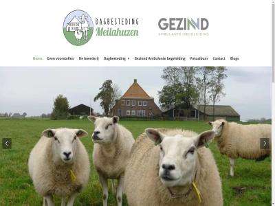 06 137 2025 3 5 6 774 8734 93 96917059 a activiteit algemen ambulant ander begeleid belangrijk beschikt betreft bied biedt blog boerderij contact contactperson dag dagbested dagindel deelnemer del denk dier direct drink duidelijk e easterein even facebok fijn fotoalbum ga gan gelukk geopend gevoel gezell gezinnd groepsruimt gv hel hom hoofdinhoud huis huiselijk ieder iederen info@dagbestedingmeilahuzen.nl informatie ingericht intresses kleinschal koffie kortom kvk kwaliteit landelijk mak manier media meedoen mei meilahuz melkveebedrijf moes mog moment mooier naast natur nou nummer nuttig omgev pauzes per pietie plek privacyverklar ruimt sam seizoen sind sluit social start t thuis tuin vast verzorg voel voldan voorstell voorwaard vries wandel war we welkom werk whatsapp wij