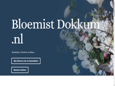 bel bestel bestell bezorg bloem bloemist boeket by direct dokkum don nl onlin plant sit vdmmarketing.nl