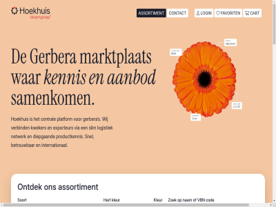 +31 1 1.200 17 174 2026 2343 2675 29 388 5 5305 641 67 aanbod actief actueel afhandel afkomst aflever all assortiment bedient bedrijf bekijk besprek bestell betrouw bezoekadres bijdrag blauw bloemenexport bloemgroep box bred breng broekweg bruin bundelt bv cart central cod collectief combiner complet contact control cookies crucial daarbuit dat del denkt diepgaand direct disclaimer diver drie een efficient eig en ervar europa expertis exporteur favorit geeft gel gemengd gerbera gerbera-expertis gerbera-specialist gerberamarkt geregeld gerrit gespecialiseerd grijs groen grot hart hel hoekhuis homepag honselersdijk inkoop@hoekhuis.com interes intern international jarenlang jouw kennis kennisgedrev ket kiez klant kleur knop kracht kweker login logistiek mail marktontwikkel marktplat maximal mb mee meest middel mini minimal mogelijk nam nem netwerk nieuw oegstgeest omweg onderstaand ontdek ontstat ontwikkeld onz oranj order over overzicht par pijler platform plek postadres privacybeleid proces productkennis regelt rietveldlan rod roz s sam samenkom samenwerk schakel slim snel snijvlak soort specialist sterk strat telefon to toegang trend up up-to-dat varieteit vbn verbind via vind volled war we welkom wereldwijd wij wit zoek zorgt zwart zx