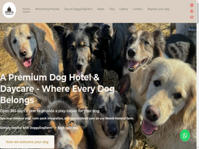 +31 0 1 11 1774 2 2021 2022 2023 2025 23 3 31 365 4 5 5/5 6 60 69 700 8 9 a about absolutely addres all alway american amsterdam and anywher appointment are area aren arrives as at attention attentiv be being belong ben best betwen black bob bok booking boy bred brighter bring by call calm can car cation check chos collie complet consist contact could crates d daily day daycar ddf dedicated delivery deserv didn discover dog doggy doggydogfarm don drop drop-off dylan easiest email enjoy ensur español even ever every evie experienc fall family family-run faq farm fav february fellow field fireplac follow for founded free friendly frolick from fun galgo gallery get getting going googl got guest haarlem hand hands-on has hav he heart her hesitat highly holiday holland hollands-kron hom hotel how hug human hundred icon if incredibl information instagram integration inu it jok just klieverweg know kron leonie lif liv ll located locked lov loves lucie mad marco mo moment mon mor much my natur nc nervous netherland noord noord-holland north north-holland obsessed off offer oft on one only open or oriented our ourselves outdor outsid overnight own pack pag perfect personalized phenomenal pick pick-up plac planning@doggydogfarm.nl play play-cation pol precious premium prid primarily probably proces professional provid pup rates ready receives register relax relaxed review rhubarb rides run s saf say seasoned servic service-oriented she shiba shown sinc slootdorp so socialis solely spacious spend stabyhoun staffordshir star stay stop stres such summer sun super system t tail tak team terrier that the their them ther they to too truly trust up ups us use using vacation valerie ve very wagging watch we wek welcom wer what whatsapp wher who whol why winter with wonderful x year you your yr