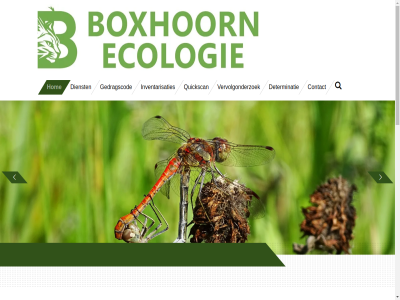 2025 97458546 adviesbureau adviesbureaus begeleid boxhoorn boxhoornecologie bronn bureaus contact del determinatie dienst direct diver drijfver ecologie ecologisch eig expertis ga gebruik gedragscod gerust groen hom hoofdinhoud instagram interes inventarisaties kandidat kennis kunt kvk kwaliteit lidmaatschap linkedin mak motivatie naast nader natur natuurtoet nem netwerk onafhank onderzoek onz passie quickscan ravon shar sovon strev terecht top verschill vervolgonderzoek vrag websit welkom werkgroep werkzam whatsapp wij zoogdierveren