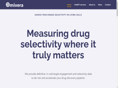 -2026 2025 2333 97665096 about accelerat all and asses b.v bio cc cell cellekt contact data de-risk definitiv discovery drug engagement hom in-cell it kinas kvk kvk-nummer leid linkedin living matter measur netherland new nummer omivera park partner pipelin policy privacy provid reserved right risk scienc selectivity services target the to true truly us we wher with your