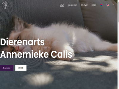 0 2025 240 aandacht actuel afsprak annemiek apparatur behandel bekend belang beperk bericht best bijgeschoold binn blijvertj calis car complet contact daarbij dier dierenart dierenarts diergeneeskund e e-mailadres echo echt eigenar faciliteit gat gebruik geduld gelov gestrest gevolgd gezicht hel hoeft hom iederen informatie inhoud intensiv kat klant mailadres mak media minimum modernst mogelijk naast natur nem onderscheid onderzoek ontmoet ontwikkel onz ooit operaties opnam paraveterinair person preventiev regelmat rontgenfoto s schrijf social spoed spring stat tevred tijd treft uitsluit vast verder verpleg verzend vind voet voornam voorop wachttijd we werk wij zegg zodat zorg