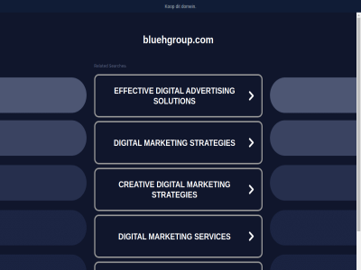 bluehgroup.com domein kop