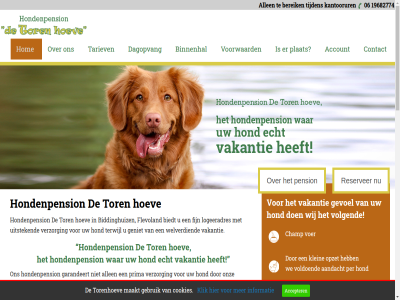 00 06 11.00 12.00 16.00 17 17.00 18.50 19682774 20.00 33 4.15 8256 aandacht accepter account allen bereik biddinghuiz biedt binnenhal binnenhok brengtijd buit champ cms contact cookies dag dagopvang echt endles enthousiast fijn flevoland garandeert gebruik geniet gevoel goed grot hal heerlijk hel hoev hom hond hondenpension info@detorenhoeve.nl informatie kantoorur kennel klein klik kost licht logeeradres maakt maandag medewerker mogelijk natur omgev onz opzet pension per pg plat prettig prijs prima privacy redelijk reserver schon speelruimt spel t/m tariev tel terwijl tijden tor torenhoev uitstek uur vakantie vakkund verblijft versie verwarmd verzorg voel voer voldoend volgend voorwaard waarin war wasbeurt we welverdi wij zaterdag zeebiesweg zondag