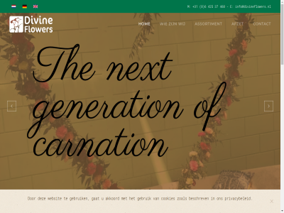 +31 0 37 425 460 6 afzet akkoord assortiment beschrev carnation contact cookies e gat gebruik generation hom info@divineflowers.nl m next privacybeleid the websit wij zoal