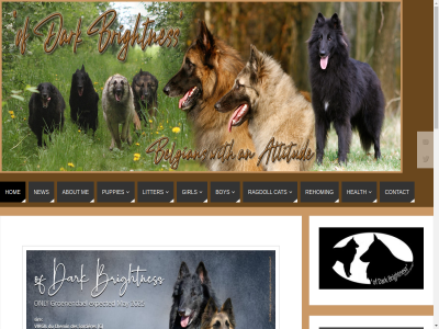 05/04/2025 17/04/2025 about bericht bhcn boy brightnes by cat confirmed contact dark design fed for gemaakt girl groenendael handy health hom jhd kennel limit link litter login mogelijk new newsflash odb parabola pregnant puppies ragdoll reacties rehom sit tervuer ultrasound updat wordpres wordpress.org