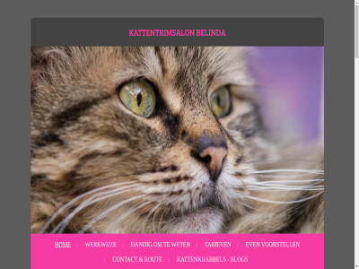 .. 0 02101265 2021 2025 aandacht acties advies afsprak algemen all allen baasj behandel behandeld belangrijk belinda bent best bied blijft blog borstel btw by comfortabel contact daarom del denk direct dwang eerlijk en enig even facebok fijn ga gat geeft gef gemak geniet gerust getrimd gewon goed grag gun haast handig hart hom hoofdinhoud houd huis ieder jij jouw jouwweb kat kattenkrabbel kattentrimsalon katvriend kijk klant klit kunt kvk last lastig lat leuk liefdevol mag mak mee minder missie mogelijk moment mooi nem nieuw nl002074533b30 nodig onderhoud ontspann overkomt powered rout rustig sam som stat stell stres strijd tariev tempo tevred thuis tijd tip trimbehandel trimsalon twijfel uniek vacht vachtverzorg verlop vind voel voelt volg vooral voorop voorstell voortzet voorwaard vrag waardor war welzijn werk werkwijz wet whatsapp wilt zegg zeker zodat