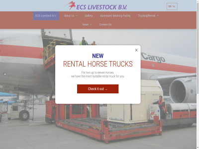 2026 a about agent airlines all and are aspect automated b.v bv cargo check contact cost cost-effectiv dedicated design ecs effectiv efficient elev ensur facility for gallery hav hom hor horses it livestock member most new nl on ontwerp operation our out preferred provid realisatie rental reserved right rontwerp saf secur services several specialist suitabl team the to transportation truck trucking/rental two up us washing we you