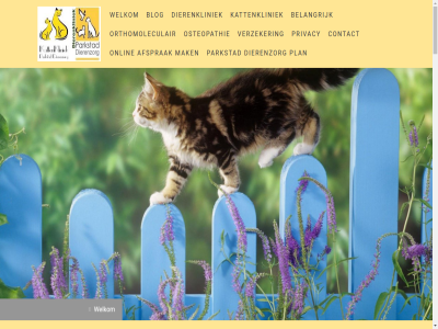 -01 -2018 00u 02 045 0453030036 08 1 11 541 56 6417 6418 77 aandacht aankond afsprak allernieuwst apart artikel bautscherweg beerenbroucklan behandel bel belangrijk bereik best betrok binn binnenkort blog bovenstaand cc centrum consult contact dag dienst dierenkliniek dierenzorg diergeneeskund drom echo een eerst eigenar elk em enkel facebok feestdag geholp gepland gerust gesofisticeerd grag heerl herstelmog hospitalisatie huisdier hygien impressum infodierenkliniek@parkstaddierenzorg.nl infokattenkliniek@parkstaddierenzorg.nl informatie ingesteld inlogg instrument kamer kat kattenkliniek kennis keuzemenu knop kortom kund l1 let limburg limburger link m ma mak medisch meest mocht mogelijk nacht officiel onlin onz oog opend optimal orthomoleculair osteopathie parkstad person plan plann praktijkeigenar privacy privacyverklar quaedvlieg reportag ruim ruy schinn sitemap sluit spoedgevall stan stap statement t ted telefonisch updates vanaf verbind verzeker vestig via visie voeding volled voorzien vrag vrij waarom we weekend welkom wellicht welzijn werking wij will woord zie ziek zorg ònze