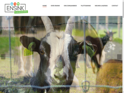 04 053 1 13 1e 20 2025 2026 21 2e 30 435 5220 7524 activiteit adres afsprak agenda all belangrijk beperk beperkt bied boerderij buit buurt contact dagbested dagbestedingsplek december deelnemer dier echt ensched ensink extra familie februari feestdag fijn gebruik gedrag geopend gericht gerust gewerkt gezell goed groen hom hulpverlener iederen info@zorgboerderijensink.nl informatie initiatiev jaarlijk januari kerstdag kerstmarkt kerstvakantie kind kinder klik kunt leefklimat leerzam leuk lez lonneker maart maatschapp mak meemak mogelijk natur nauw nem nieuw nieuwjaarsdag ontwikkel onz openingstijd opnem optimal opvang organiser oudejaarsdag ouder plattegrond plek pm prettig ruimt rust sam seizoen som stabiliteit stan t/m tijden tuss vakantie veilig vel verder vergertsveldweg verleend verwant vind volwassen voorjaarsvakantie vrag vrijblijv warmt we welkom wet wij wilt winterwandel wissel zorg zorgaanbod zorgactiviteit zorgboerderij