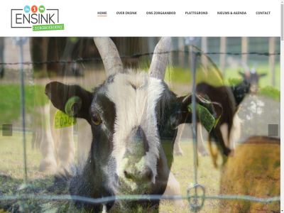 04 053 1 13 1e 20 2025 2026 21 2e 30 435 5220 7524 activiteit adres afsprak agenda all belangrijk beperk beperkt bied boerderij buit buurt contact dagbested dagbestedingsplek december deelnemer dier echt ensched ensink extra familie februari feestdag fijn gebruik gedrag geopend gericht gerust gewerkt gezell goed groen hom hulpverlener iederen info@zorgboerderijensink.nl informatie initiatiev jaarlijk januari kerstdag kerstmarkt kerstvakantie kind kinder klik kunt leefklimat leerzam leuk lez lonneker maart maatschapp mak meemak mogelijk natur nauw nem nieuw nieuwjaarsdag ontwikkel onz openingstijd opnem optimal opvang organiser oudejaarsdag ouder plattegrond plek pm prettig ruimt rust sam seizoen som stabiliteit stan t/m tijden tuss vakantie veilig vel verder vergertsveldweg verleend verwant vind volwassen voorjaarsvakantie vrag vrijblijv warmt we welkom wet wij wilt winterwandel wissel zorg zorgaanbod zorgactiviteit zorgboerderij