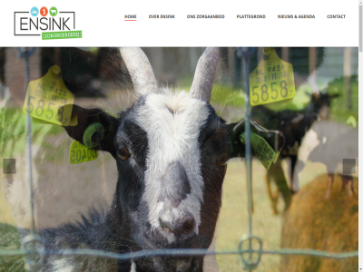 04 053 1 13 1e 20 2025 2026 21 2e 30 435 5220 7524 activiteit adres afsprak agenda all belangrijk beperk beperkt bied boerderij buit buurt contact dagbested dagbestedingsplek december deelnemer dier echt ensched ensink extra familie februari feestdag fijn gebruik gedrag geopend gericht gerust gewerkt gezell goed groen hom hulpverlener iederen info@zorgboerderijensink.nl informatie initiatiev jaarlijk januari kerstdag kerstmarkt kerstvakantie kind kinder klik kunt leefklimat leerzam leuk lez lonneker maart maatschapp mak meemak mogelijk natur nauw nem nieuw nieuwjaarsdag ontwikkel onz openingstijd opnem optimal opvang organiser oudejaarsdag ouder plattegrond plek pm prettig ruimt rust sam seizoen som stabiliteit stan t/m tijden tuss vakantie veilig vel verder vergertsveldweg verleend verwant vind volwassen voorjaarsvakantie vrag vrijblijv warmt we welkom wet wij wilt winterwandel wissel zorg zorgaanbod zorgactiviteit zorgboerderij