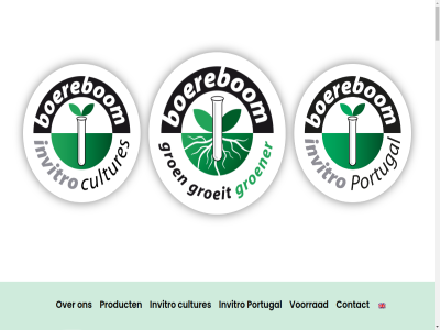 +31 0 2 2026 21246097 27 3 3540 5657 6 87 aantall aanvrag ably.digital afkwek assortiment b.v beschik bestaand bewortel beworteld bied boerebom bom bred clematis co2 co2-tree coggygria contact cotinus crispii crucial cultivar cultures daarnaast daphn disclaimer distributeur diver domestica dw echochorda eig eindhov elongata ervar essentieel excl flight forum futuro gebracht gericht gespecialiseerd gevestigd gewass gewenst groeit groen groener groter hart hoogopgeleid hoogst hoogwaard houtig in-vitro info@boereboom.nl ingezet innovatie invitro klik kom kwaliteitsnorm laboratoria laboratorium laburnum lat licentie lonicera manier markt method mezereum middel moederplant moeilijk mogelijk nandina nieuw offert omstand onderdel ontwikkel ontwikkeld onz operaties opgroei passiflora paulownia per personel photinia pink plant plat plug policy portugal privacy proces product productie productielaboratorium protocoll richt rol samenwerk scala serratifolia siergewass snel soort specifiek speelt spreekt stag stan steriel strev techniek toekomst toezicht traditionel tree uitstek vast vermeerder vermeerderd vermeerderingsbedrijf vermeerderingsproces verschill via vindt vitro volgend volum voorbeeld voorrad voortdur vormt waarbij wanner war watererii we webdesign weefselkwek wereldwijd wij ziektevrij zodat