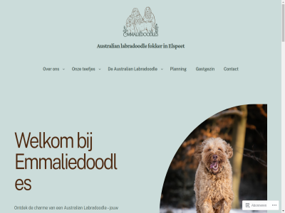 15a 8075bx abonner alaeu association australian avontur basis begon behoud bekijk benieuwd biedt bijzonder blijf charm contact contactformulier diepeweg dochter drom elspet emma emmaliedoodles emmaliedoodles@icloud.com ervor ethisch europ familiebedrijf focus fok fokker gastgezin gesocialiseerd gezinn gezond goed groei hond hoogst hoogt hoogwaard instagram jarenlang jouw karakter kijkj klant klar knuffel laatst labradoodl labradoodles legt lev lez lid liefdevol locatie maatj manier medium mini nederland nem nestjes nieuw omgev ontdek onz planning pup ras richtlijn s sam setting social stan standaard start stelt sterk strikt teefjes temperament toekomst trot trouw updates verantwoord veren verhal verschill voldoen voorop waarbij warm we websit welkom wij zeker zorg zorgzam