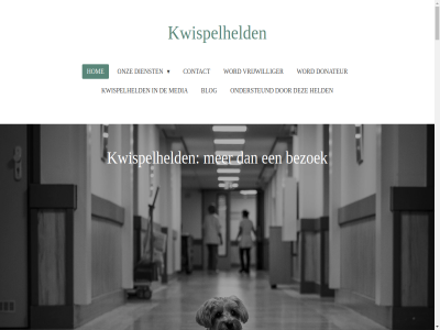 2025 2026 aandacht aanvrag aanwez afgestemd all allen ander ar aspect baasjes band beeld beetj beginn begint behoeft beid bekijk bekijken.dankjewel belangelos belangrijk bent bericht beteken betekent.ik betrok bewoner bezoek bied bijdrag bijzonder blij blijvend blog breng combinatie contact crer daarbij dag dankbar del dichtbij dienst dier dierenbezoek direct donateur donatie doner drom e e-mailadres echt eenzam eig elk elkar emma energie enorm eran esther facebok fijn foto ga gat geeft geluk gelukk geniet getraind gevoel gewaardeerd gezelschap gezicht gezien gezocht glimlach hardst hart hel held help hen herinner hoevel hom hond hondenbezoek hoofdinhoud hop hospic huisdier ieder iederen individuel instagram instinctiev interactie janin jezelf jij jouw juist kant karakter kennis klein klik knuffel kom koppel kracht kwijtgeraakt kwispel kwispelheld lat lev leven lever lez lichtpuntj lichtpuntjes liefd liefdevoll ma maakt mailadres mak manier mat media mee men mens menselijk missie moeder mogelijk moment mooi nam natur nem nodig omgev ondersteund ontdek ontdekt ontmoet ontstond ontzet onverget onz opfleur oprecht oproep opvrolijk ouder passend person plezier positiev prat precies pur reis respectvoll rustig s sam schol servic simpel sluit sociaal stan steun stichting strev tastbar terug terwijl timmerman tovert troost trot tuss uniek vanuit veilig vel verbind verhal verlicht verlies verspreid vertrouwd verzend verzorgingstehuiz voel voelbar voeld volg vooral voorbeeld vrijwilliger vrolijk waardor waarin waarmee war warmt we wek wet wij word zacht zet zie zien zodat zorg zovel zull