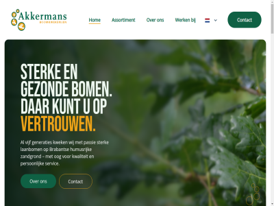 +31 -14 -30 -453204 -454358 0 12 150 162 2026 25 4904 4904sc 50 a27 aanbod aandacht aankop aanpak aanslat acer activiteit adres akkerman all allen assortiment bedrijf bedrijv begeleid bekijk bent bepal bereik beschik best bestat betekent beter betrouw bezoek bodem bodemorganism bodemstructur bom boomkwekerij boomtransport bouw bov brabant bred bredaseweg buitenlucht carpinus clarq cm collega compost contact contactgegeven continuiteit daarnaast denk dierlijk duurzam e e-mail eerlijk efficient eig eindbestemm enthousiast ervar ervor extra fagus fax fijn focus fraxinus garander gebeurt gebruik gedeelt gegarandeerd gekweekt generaties gewasbeschermingsmiddel gezond goed grag grond ha hanter hart hebt hierdor hom hoogwaard houd humusrijk ieder info@boomkwekerijakkermans.nl inhem inhoud inzet jij kom krijg kron kundig kunt kwalitatief kwaliteit kwek kwekerij laanbom lad lang langdur leidt les levend lever leveringsoploss ligt losser losterrein maakt mail manier materiaal mee mest meststoff minimal mogelijk mooi n.br natur navigatie nederland nieuw nodig noord noord-brabant nuttig omgev ontwikkel onz oog oosterhout optimal organisch organiser overslan passie person plantaard plantafstand platanus prijs prunus quercus reager regelmat reserved respect reststoff right rondstek ruim s sam samenwerk sc schimmel servic snel snelweg snoei soort sorbus stabiel stamm stamomvang sterk stimuleert tel termijn tilia toe toeleveringsket transport uiteraard uitsluit uitstek uitzien ulmus vacatur verbeter verbetert vereist vermeerder verplant vertakt vertrouw via vijf vindt voeg voldoend voornam vooropstan voorrad vruchtbar waarbij waarder waterberg we webdesign welkom werk wet wij worm wortel wortelgestel wortelsnoei zandgrond zoal zodat zoekt zorgt