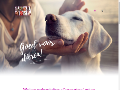 -03 -05 -2026 15 17 2019 2027 24 30 7213 7242 74 8 aandacht actuel adwis afsprak albert algemen bekijk bereik best betrek bezoekadress brain contact daarin db dierenarts dierenkliniek digital disclaimer duidelijk dunantweg dur e e-mailadres e.o eerlijk ej enthousiast eo facebok faciliteit foto fotografie gat gewon gorssel gorssel-zutph hahnweg heden help henry hom huisdier info@dierenkliniekgorssel.nl info@dierenklinieklochem.nl informatie interessant jar kant ker kracht kunt lang les lochem mailadres mak mas mei mischa mocht nieuw nieuwsbrief nijverheidstrat omleid omleidingsbord onderzoeksruimt ontvang ontvangst onz operatiekamer opnam opnem oranjelan par per person plus policy prijs privacy realisatie s schrijf stan team tip vakkund vanaf vanweg verander verbouw verder verplicht verwacht via video volg voorwaard vrag websit weg wegwerkzam welkom werkzam wet wij your youtub zorg zutph