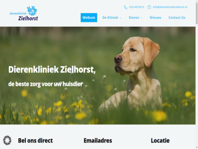 -4553013 00 033 09 0900 1 100 108 11 11.00 121 14.00 15 17 19 2 22 2223000 3 3822 5 6 7 8 9 a aandacht aanwez achter advies afhal afsprak aiges akkerhuis aktie aldar all allereerst allerliefst amersfoort amirali and ans apparatur art assistent assistentes assitenties athanasiou balie bas beest begroet behandel behandeld bekwam bel belia bell benauwd bereik bert best betrefd betrouw beverwijk bied biedt big bijzonder bilgic blek blij blijkt bloedonderzoek blok boer bolk bos bracht buit burg by carolin cattery christel christiaan communicatie complex connie contact controll cor cozy crow ct cw daarin daarover dag dagmar danai denk dennis deskund dier dierenart dierenarts dierenkliniek dimitra dinsdag direct doest domain donderdag doortast draait dringend duidelijk echo echt ede een eig eigenar elisabeth elk ell emailadres empatisch enig enorm erg ernstig ervar etend eva even everts facebok fantastisch feddes fijn françois friendly froukj g ga gankema gartner gedur gegev geholp gekom geled gelijk gelukk genez gerritz geslot gesprek geweld gezell gezelschapsdier gezet gezondheidsproblem gezorgd goed googl gouw graf greetj grot haijtsma halil han hand harm hart hartsuiker haytsma heart hel helas helemal help hemat hilhorst hoeft hofland hond hondema hosting houd huisdier hulp info@dierenkliniekzielhorst.nl inhoud instagram jan jar jeffrey john jong jurr k kat kek ken kliniek knipp kom kond konijn kreg kundig kunt lang langskom lastig lat later laura legt lex lez liefd liefdevol liev locatie lois lop m maand maandag mak makaroni man manier mario martin mattijs medewerker medicatie medicijn mee meest men merkt mid minst minut misschien mit modern mogelijk mol nagel natur nederland neemt nem nieuw nik nodig ockeloen omtrent ongelof ontmoet onz oog ooij openingstijd operaties ophal optijd opvoed orca originel overgenom pagina past paulin per perfect person personel pierlot plac plann plat plek praktijk precies prettig prima problem professionel puppyschol pursang reactie rec