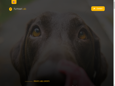 +32497191757 +33760535193 +81 15 2026 4879 5 9092856999 agit algue almaty and animal animalerie animaux apportez au avec bacon boeuf busines bâton chain chat chez chien choses collagèn combinent comm commercial compagnie complet comprenon concept confianc constamment contact contact@purtreat.com contacter conçue conçues cranberry curcuma d dan decouvrez dedie dedies demarrer des design detaillant deux developp disponibl doit droit efficac efficaces elevee enrobes equip et eurasia eurasia@purtreat.com excellenc excellentes exceptionnel expert extension fabricant fiabl final font french friandises fromag full full-servic gamm helpdesk ils ingredient innovation japan kazakhstan l la lab label laboratoir le leur livraison livrer logistic logistique maintenir march marges marques maximiser natur naturell naturelles nd negociant netherland nos notr nous nouveautes nv offic optimisee osaka packag paris partenaires partenariat pay penningweg performanc personnalis plv pour premium privat production produit prêt purtreat qu qui rayon readines rejoignez rentabilit rentabl reserves retail reussi rotation sain saines sechee selection servic services shelf solution sommes sommes-nous specialis spirulin succès supply support to tous trachee transformez un une uniques ventes vos votr à être