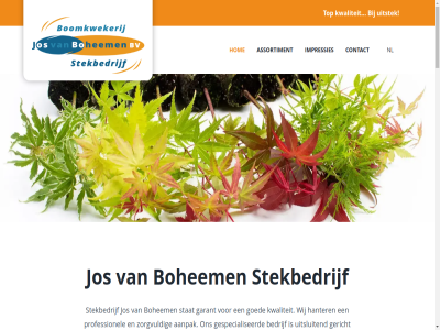 0180 064 10.000 16.000 2 2026 2761 501 63 631 633 aandacht aangenom aanleg aanpak aantall acer afzonder all allen assortiment bedrijf bekijk benevel best bestat bestemd bohem boomkwekerijgewass buit computergestuurd constant contact contactgegeven cookies cotinus dag dagelijk dankzij dezelfd doet drijfver dwarsweg eerst elk email fax galerij garant gd geautomatiseerd gegarandeerd gehel geldt gemaakt gericht gesitueerd gesned gespecialiseerd gestok gewerkt glasopstand goed grot groter hanter hog hom hoofdgroep impressie impressies indien info@josvanboheemen.nl jos klant klimaatbeheersingssystem klimat krijgt kwaliteit lever locatie m magnolia mahonia marktconform med medewerker moeilijk nl noordelijk onz opdracht optimal optimaliser prijs privacyverklar producer product productiviteit professionel recht rest standaard stat stek stekbedrijf stuk telefon tevred top uitsluit uitstek vanaf verkop vermeerder versheid vervaard vervolgen voldoend volled voorbehoud voortdur vormt vrij waarin waarop war wij wortelt zevenhuiz zorg zorgt zorgvuld