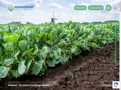 +31 0 01 02 03 04 05 06 18 25 3 317120 416 50 5165nh aangeslot af afmet afnemer ban behoud bekijk benieuwd beschikt bestat beteken beter bied binnenkomst blancher blijv brandr by capaciteit carrièr certificer concept contact crer denk dienst diepvriesgroent diepvriesmagazijn direct distributie down duurzam e e-mail echt eig eindproduct ervar ervor etiket expertis fod fresh froz gan gat geavanceerd gebied gebruik gelov gemaakt geoogst gezond goed grag groei groent groentesoort heerlijk hen hierbij hierna hog hom houd ieder industrieweg ingevror inten invriez iqf jar juist ketenbred ketenleverancier klant klar kleur krijg krijgt kwaliteit kwaliteitscontrol lat leidt les lever ligt lokal maasoever mad mail mak manier mat mee meest menu merk milieuvriend mogelijk moment natur nauw nauwlet nederland nem net netwerk nieuw nieuwst omgan onz oogst opgeslag oploss opslag partner partnership pass passie past positie precies proces product retail rijk ruimt sam schill scroll sector slan sluit smaakvoller smak snijd solution soort specialiteit spoel stat stelt tailor tailor-mad technologieen tel telefon teler terug toekomst totdat uiteind uiterst vacatures vak veilig ver verkop verpak verschill verwerk vitamin voedingsmiddelenindustrie voedingsstoff volg voorbereid vriesver waspik we webdesign website@maasoever.com wens wereldwijd werk wet wij your zad zoek zorg zorgt zowel