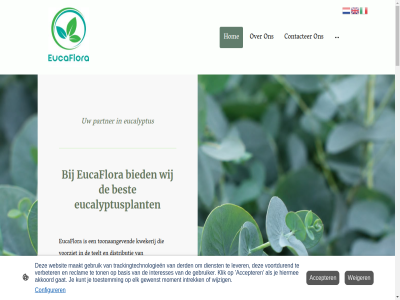 100 20 2026 335k aantal accepter afnemer akkoord all allen auteursrecht basis bericht best betrouw bewust bied bijzonder bloemist bom concurrentiel concurrer configurer contact contacter cookie derd dienst distributie diver doel elk ermee ervan eucaflora eucalyptus eucalyptusplant expertis exporteur ga garandeert gat gebruik gebruiker geeft gegeven gewenst groothandel groothandelsdienst help hiermee hom hoogwaard icon interesses intrek klaarstat klant klantenservic klanttevred klik kunt kwaliteit kwek kwekerij lever maakt moment nam nem ontdek ontworp onz opgeslag partner perfect plant prijz professionel recht reclam richt send snijgroen stat team teelt tevred toepass toestemm ton toonaangev trackingtechnologieen traditionel tuincentra uitsluit varieteit veld verbeter verkocht verplicht verwerkt voorbehoud voorop voortdur voorziet websit weiger wij wijzig
