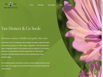 +31 0 16 172 1876 1996 2025 2391 462 622 a about activities advantages all an and are as assortment award be bred breeding busines by carried cleaning co companies company considered consist contact crop day decades dedication discover distinctiv distributor do early email every experienc expertis export factor faq flower focus for founded free gmo gradually grower hard hav hazerswoud hemert high high-quality hom important innovation instagram integral introduc key lead link local majority many merchant mor nearly netherland new novelties nowaday ornamental our outlet packet part pictorial plant pp privacy prov quality rang ranges read reliability reliabl retail sales sales@vanhemertseeds.com schotlandlan sed shifted sinc specialized standard statement still tel term the throughout to today trusted unique us use varieties vegetabl vegetables we what which wholesal wid winning with work working world worldwid wow year