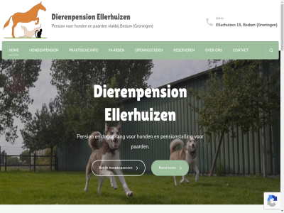-25420670 06 11 12 15 16 19 20 2026 9781 actuel adres algemen augustus bedum bekijk bel bent bied bijgehoud buurt contact dagelijk dagj dagopvang dierenpension direct download e e-mail eenvoud elkar ellerhuiz even extra ezel gerust gewon gezell groning hart hoev hom hond hondenpension info info@dierenpensionellerhuizen.nl informatie jouw juist juli juni klantenkaart klantenportal kleinschal kunt lekker les lez lid liefd mail mak mededel meest moment nem nieuw onlin openingstijd paard paardenpension pdf pension pensionstal pensionstall plek plekj praktisch privacybeleid reserver respect snel stalling stan t/m tel terug trot ts vakantie vlakbij volgeboekt voorop voorwaard vrag war we weg weidegang wij wilt zoek zomervakantie zorg