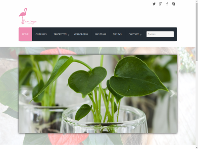 +31 0 096 15 2013 218 24 2678 415 6 8 932 anthurium automatiser c collectie contact de diversiteit e e-mail flamingo flamingo-plant flower gespecialiseerd grot hom indor info@flamingo-plant.com kbit keuz kn krachtig leverancier lier longest mail mak michel next nieuw non non-stop one one-stop-shopp onz oudecampsweg plant pot potanthurium prev product s shirley shopping stop team tijdlos verkop verzorg visie vof world