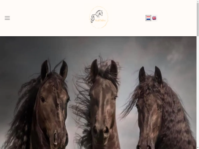 13 2023 accessoires bron budi chiropractie dier dulv eigenares florian fokker gabriell glos hor horsefod januari jar meta sponsor stal suzann tilborg uitgeroep zaterdag