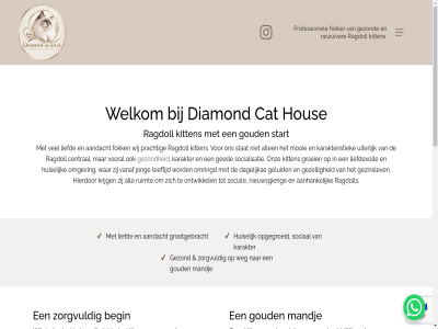 2026 aandacht aandoen aanhank all allen begin bekend belangrijk bewust bijzonder blijvend buurt cat central content daarom dagelijk diamond diamondcathous echt eigenar erfelijk familie fok fokker gedur geluid genoeg geselecteerd getest gevolgd gezell gezin gezinslev gezond goed goud grag groei grootgebracht hierdor hous huiselijk ieder insta instagram jong karakter karakteristiek kat kiez kit kitten krijg krijgt leeftijd liefd liefdevol liefdevoll mag main mandj mens mensgericht menu mogelijk mooi nauwlet nieuw nieuwsgier nodig omgev omringd onderdel ontwikkel onz opgegroeid oud ouderdier passend prachtig professionel ragdoll ras raszuiver relevant ruimt skip sociaal social socialisatie start stat thuis to toekomst uiter vanaf verblijf verhuiz verkocht verzorg verzorgd vind volg vooral voorbereid vriendelijk wanner war weg welkom wij zacht zoek zomar zorg zorgvuld 𝙲𝙰𝚃𝚃𝙴𝚁𝚈 𝙳𝙸𝙰𝙼𝙾𝙽𝙳𝙲𝙰𝚃𝙷𝙾𝚄𝚂𝙴 𝙸𝙽𝙵𝙾 𝙽𝙻 𝚁𝙰𝙶𝙳𝙾𝙻𝙻 𝚆𝚆𝚆