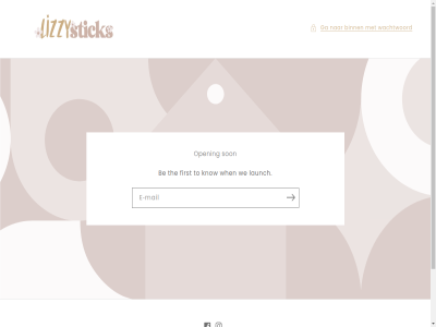 aangedrev be binn content e facebok first ga instagram know launch lizzystick log mail meten open son the to wachtwoord we when winkel winkeleigenar