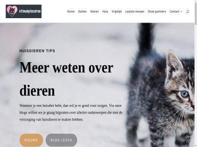 2019 2022 2023 2024 2025 2026 about allemal allerlei april archief augustus bedrijf bericht bijprat blijft blijv blog contact crm crm-softwar daarom december denk dier ding erg erp februari fout gan gat goed grag haalt hebt hom huis huisdier info januari jouw juli kans kat keuz kittenadoptiecentrum kittenadoptiecentrum.nl klar klik laatst les leuk lez mak nieuw nodig oktober onderwerp onz open open-sourc partner puppy pvc rol schrijv sit sitemap slimm softwar sourc spel stan stel suggesties tip topverzorger uitdag us vertell verzorg via vind vloer vrag vrijetijd waarom wanner war we wet wij will zak zorg