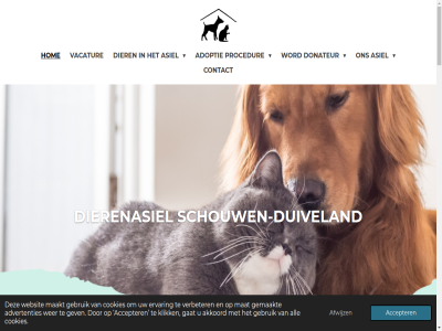-12.00 -16.00 0111 10.00 13.30 2025 26 4301 450545 accepter adopter adoptie adress advertenties adviser afsprak afwijz akkoord all alvast anbi asiel asieldier asielmedewerker avontur bedankt bekijk benieuwd bent best bestur bestuurslid beteken betrok bied biedt bijdrag blijv boerderijkat collect contact control cookies daarom dank dier dierenasiel dierenbescherm diervriend direct donateur doner duiveland dup e e-mail erf ervar essentieel facebok facebook-pagina familie feestdag filmpjes ga gan gat gebruik gef gehoud gehuisvest gelijk gemaakt gemotiveerd geslot gesocialiseerd gev gezond grag hanter hard hart hartelijk hav helas help herstell het hom hond hoofdinhoud huisdier hulp idee info@dierenasielsd.com inhoudt inzet jar jij jou jouw kan kat kennis kijk klar klik konijn koppel krijg kunt langskom last lat leuk lev liefd liefdevoll locatie maakt maandag maatj mail mak mat medewerker medisch meedenk meenem metgezel mogelijk muiz nieuw niveau nl59ingb0666484600 ondergan ontmoet ontwerp onz openingstijd opnem organisatie overweg pagina past pension per pluizig prachtig precies procedur regelmat rol ruim sam schouw schouwen-duiveland schur sit special stabiel stal stan status steun strategisch t.n.v t/m ta telefonisch terug thuis tijd tip toekomst toewijd twed uur vacatur vak vakantie vanaf vangt vanweg veelgesteld veilig vel verbeter verblijf verblijv verdien verhal verschil verschill verzorg vind vindt volled vrag vriend vrijblijv vrijdag vrijwill wacht war warm we websit welkom wer werk werker werkzam wij wilt woensdag word zandweg zaterdag zierikzee zodat zoek zon zorg zovel