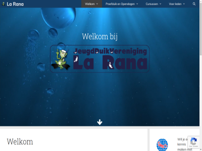 1998 1e 2026 24 all begin cloudfaction.nl contact cursuss daarna duik duikveren ervar facility familie ga gratis grootst hel help informatie inhoud inschrijv jar jeugd jezelf kennis la led les mak media meest meld mocht nederland nem ocean onlin onz opendag opmerk padi pakket passend proefduik rana rana.nl realisatie recreational s28047 social sponsor the theorie twijfel verder vind volg vrag war we websit welkom wij zeker
