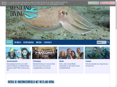 aandacht activiteit adem ademteug aflop akkoord algemen allen avontur begeleid begint behaald belef belev benieuwd bent best betekent betrok bezoek bouw central club clubduik contact dichtbij diving dosis download draait drankj duik duikbrevet duikcommunity duiker duikstek duikveren duikverhal echt eerst eig elk elkar en eran erkend eruitziet ervar foto ga gelov geniet gezell goed grag groei groep groepjes grot hal hebt hecht hel help hom houdt huis huisrif iederen instructeur introductieduik jar jarenlang jij jou kennis kijk klein klik krijg kunt lach lat leerzam ler leuk leukst log lol magie mak manier massal media mediabibliothek mee meld meter mijn-wd missie mogelijk mooist nachtduik nederland nee net nieuwsgier niveau onderwater onderwaterwereld ontdek onz opleid organiseert organiser overal pagina person plezier policy privacy professionel s sam snel social stan stap stat sterk strak tempo ter thuis thuisbasis tijden toegank toegat training twijfel uniek veilig veren verget vertrouw video vind voel vol vooral voorbereid voorop voorwaard vrag war water wd we welkom wereld wereldwijd westland wij word wrakduik zee zoek zult zwembad zwembadtrain