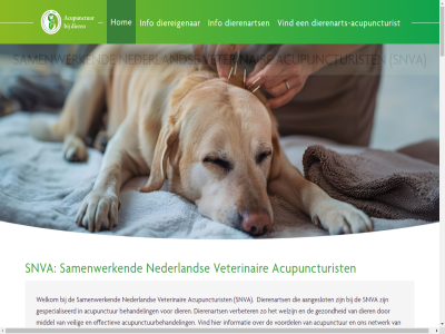 2009 2026 aanbied aandoen aangeslot aanvull activeert acupunctur acupuncturist acupunctuurbehandel acupuntur adres adviser afgift afsprak algemen all allemal avg behandel behandelt bekend bekijk belast benader bent beroepsveren best bestaand bevordert bewegingsproblem bezoek chines collega combiner contact cookies daarnaast dier diereigenar dierenart dierenarts dierenarts-acupuncturist diereneigenar diergeneeskund diersoort disclaimer dochterorganisatie doorbloed doorverwijslijst doorverwijz duizend echter eenjar effectief effectiev gebruikt gecertificeerd gedragsmat geinteresseerd geneeskund genoemd gespecialiseerd gevall gezond goed goud herstel herstelproces hiervor hoewel holistisch hom hond huidziekt ieder info informatie ingezet international ivas jar juist kat klacht klik kunt les levenskwaliteit lichaamseig lijst mak mens middel mogelijk naast nederland netwerk neurologisch noodzak onderdel ondersteun ontdek onz opleid opnem overweg paard pass patient pijn pijnklacht praktijk realisatie regio regulier samenwerk sectretariaat snva snva.secretariaat@gmail.com society sommig specialisatie spijsverteringsstoorniss stimuleert stoff therapie therapieen toe toegepast traditionel uiteenlop veilig verbeter verbetert verder vermeld vermindert vermog verwacht veterinair veterinary vind vindt vooral voordel voorwaard waarbij waardevoll we websit weinig wel welkom welzijn wet wij wolf www.ivas.org zacht zelfherstell zenuwstelsel zer zodra zoek zull